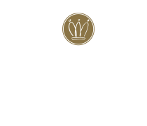 Masot Vini